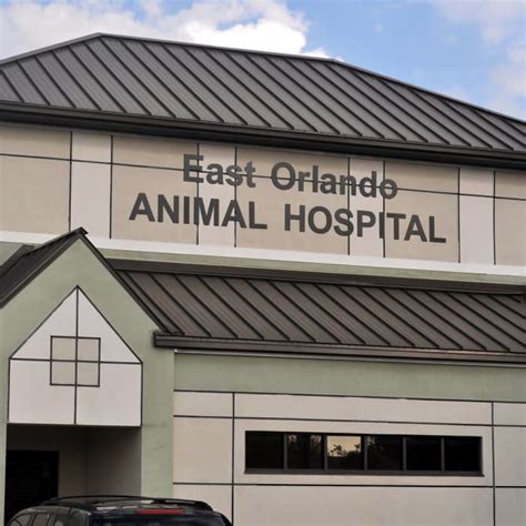East orlando animal hospital - Proudly accredited by the American Animal Hospital Association since 1983, East Orlando Animal Hospital is a state-of-the-art, 10,000 sq ft full-service veterinary hospital, boarding lodge, and grooming salon caring for dogs and cats since 1979. We provide routine, urgent, and emergency care 7 days/week. 